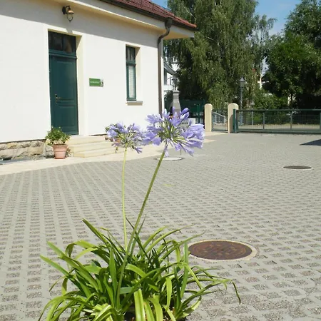 Ferienwohnung Kaitzbach Idylle 드레스덴