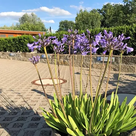 Ferienwohnung Kaitzbach Idylle ドレスデン